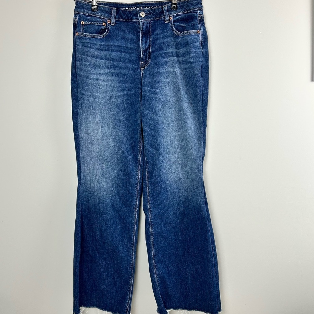 American Eagle Outfitters Blue Flare Wide Leg Jeans
